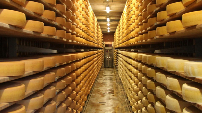 Gruyère Käse