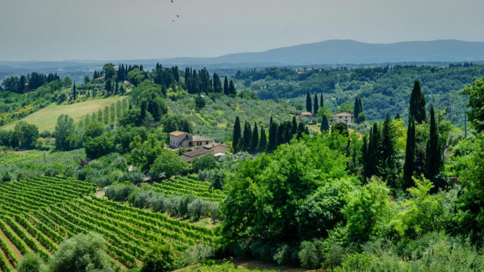 Toscana bei San Gimignano