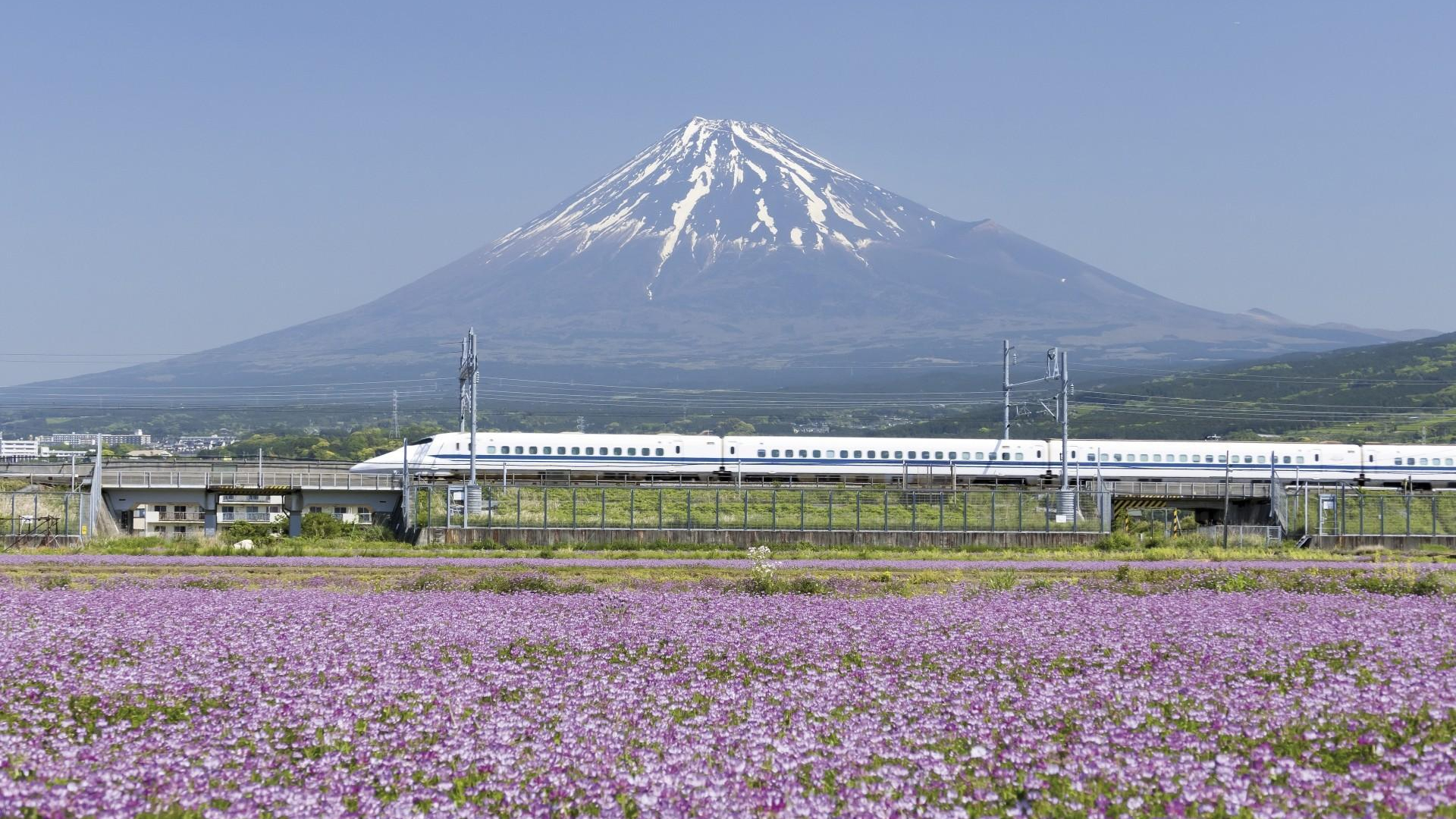 113-2 Der Shinkansen-Express am Fuße des Fuji - yayoicho fotolia X