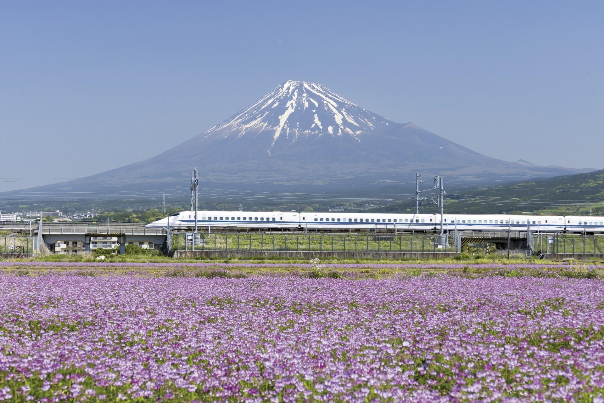 113-2 Der Shinkansen-Express am Fuße des Fuji - yayoicho fotolia X