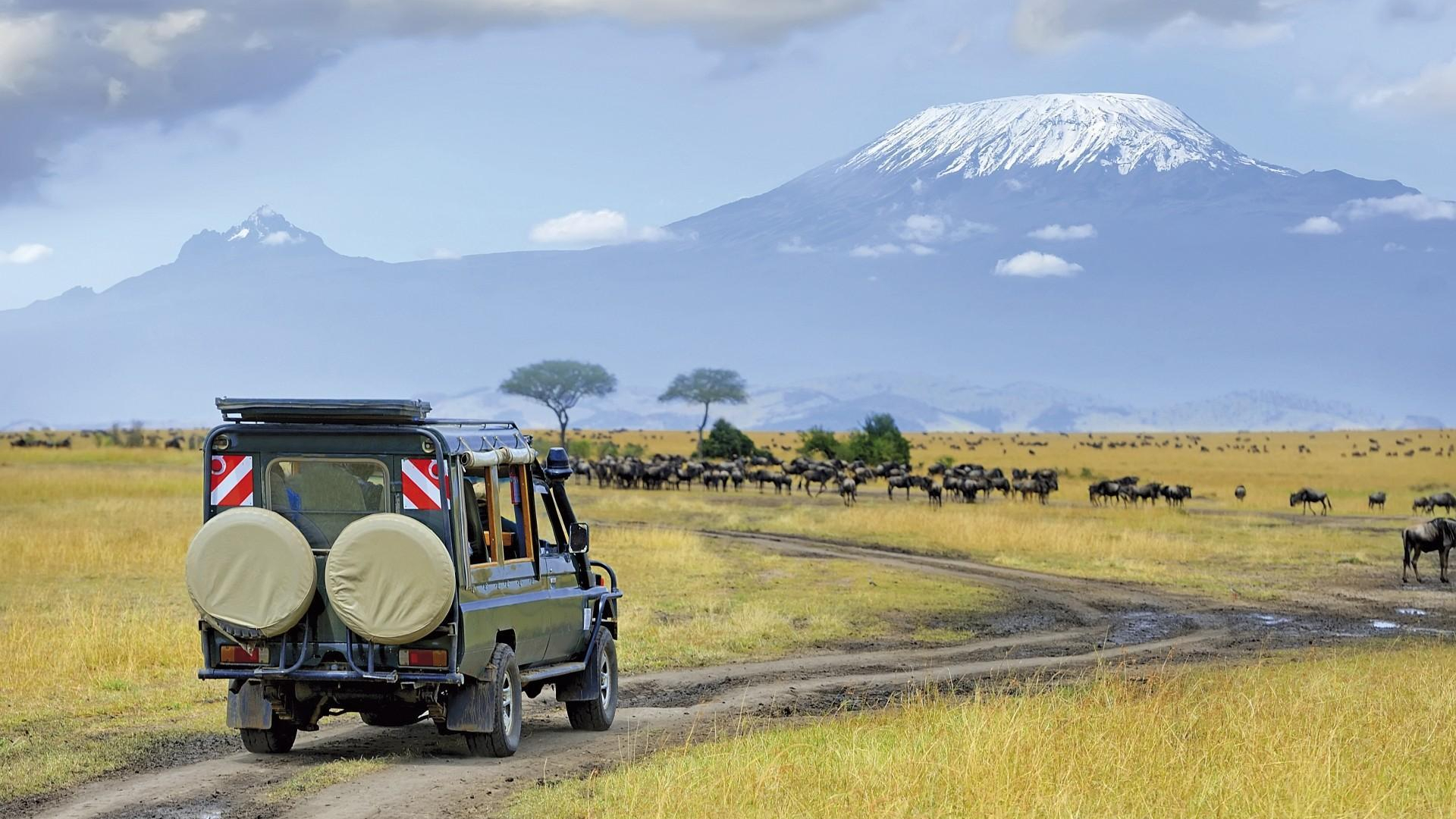 Auf Safari , Afrika