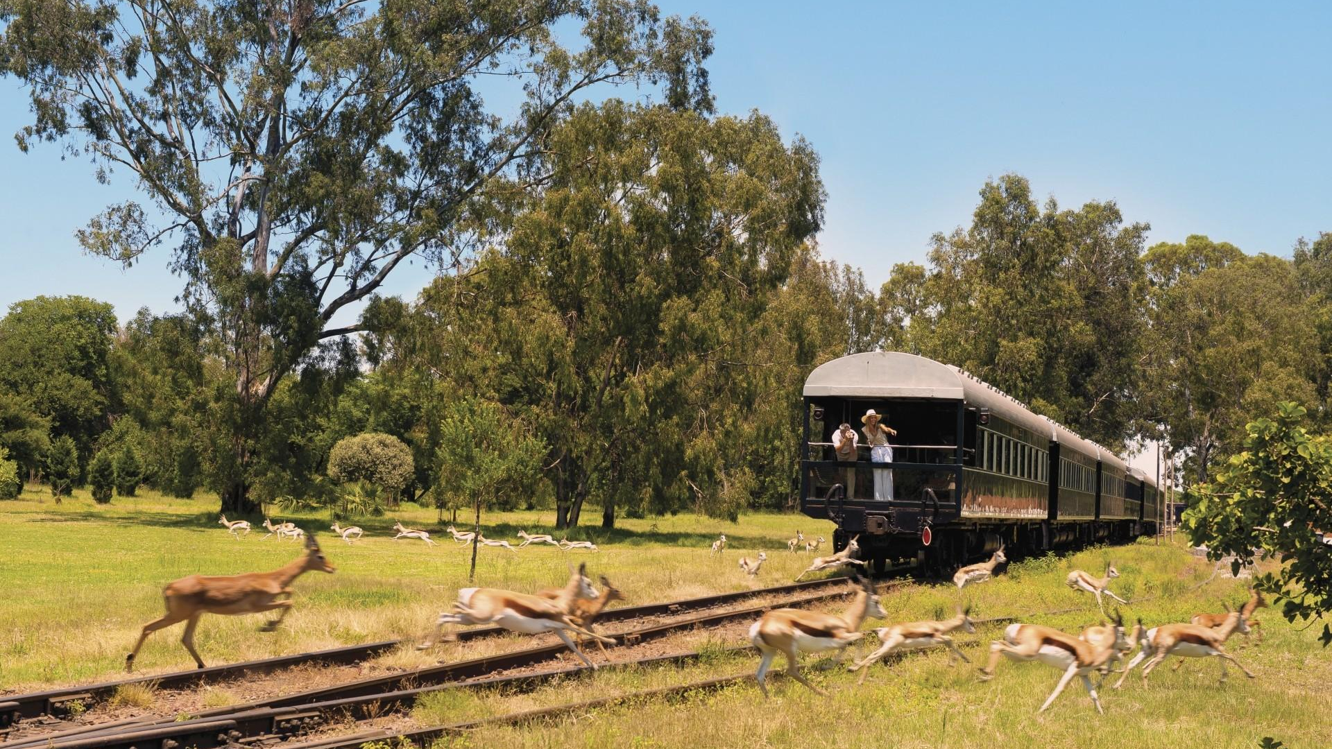 Aussichtsplattform des Rovos Rail - Rovos Rail Tours