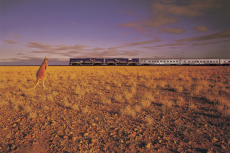 Indian Pacific - Great Southern Rail