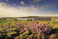 Indian Pacific Great Southern Rail