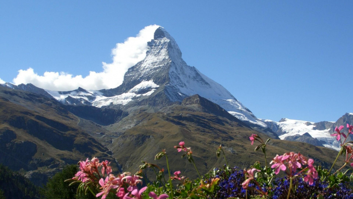 Matterhorn zur Alpenblüte