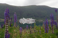 MS Ocean Majesty, Außenansicht 4