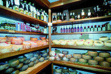 Käse und Öl - Toskana