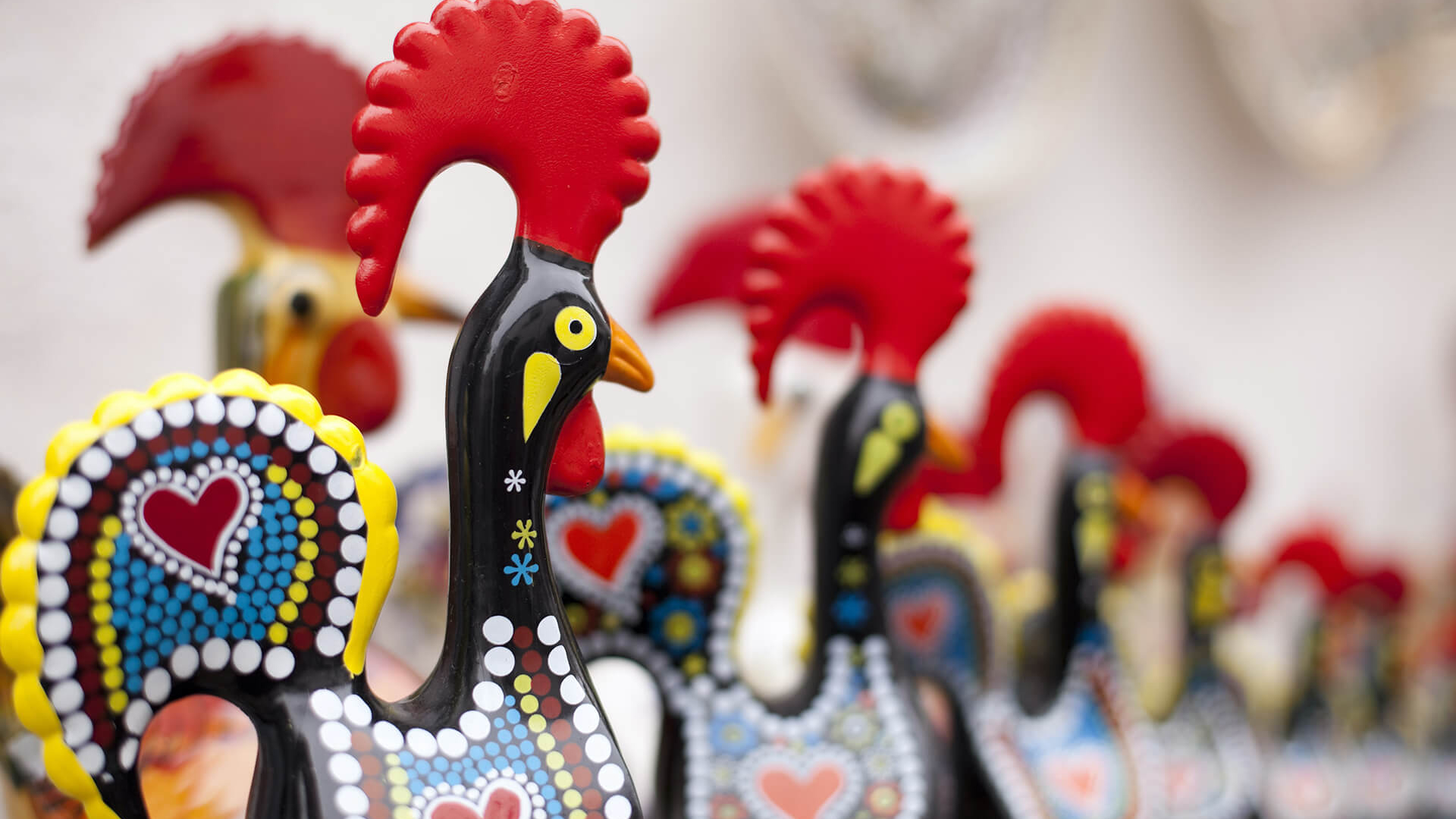 Gallo - (07) - Credit Helder Almeida - stock.adobe.com