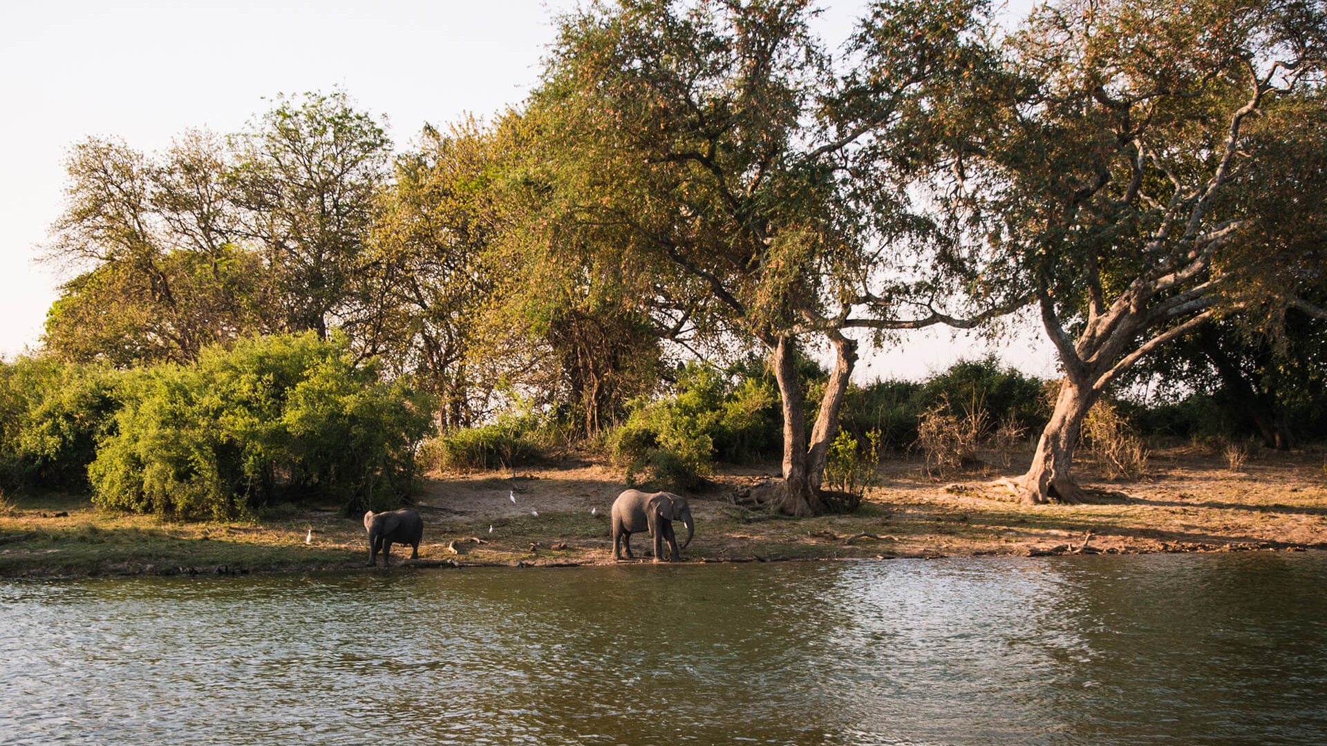 Zambezi