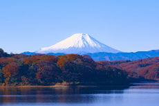 Mount Fuji Japan(pixabay)
