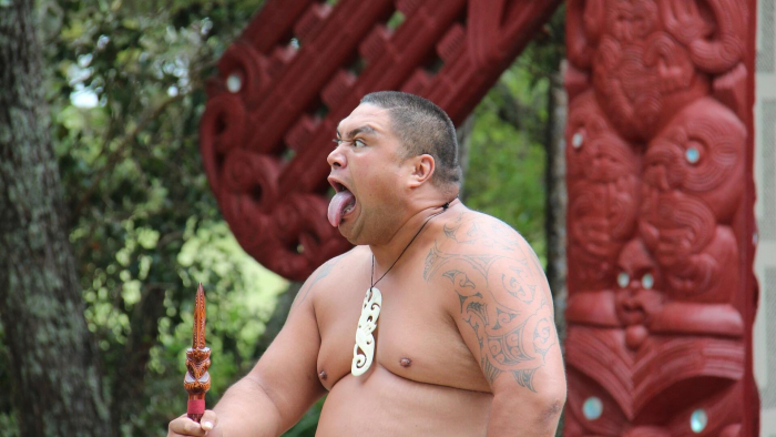 Maori Te Puia | Neuseeland (pixabay)