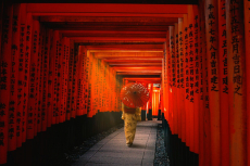 Fushimi Inari-taisha (pixabay)
