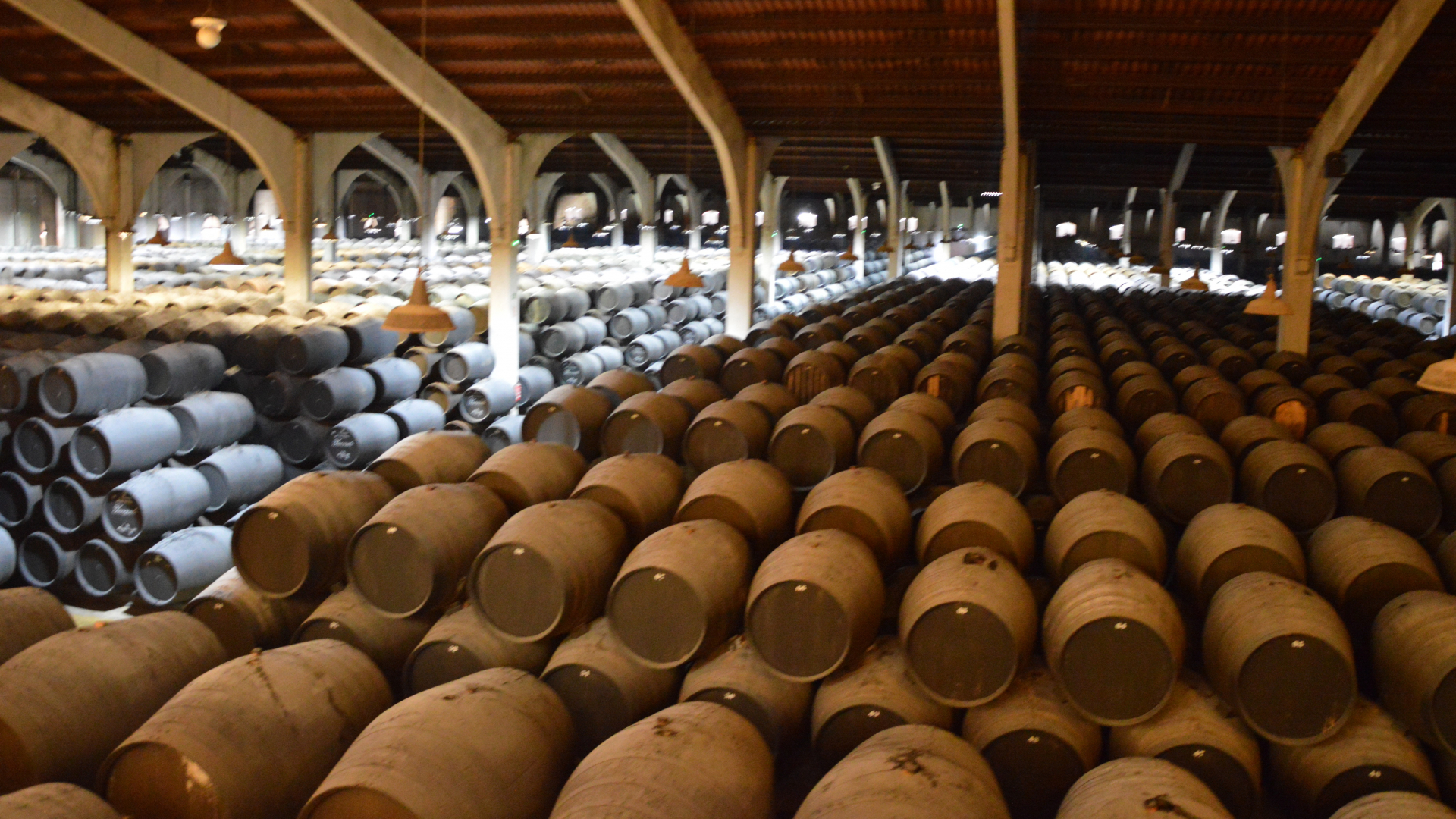 Wein