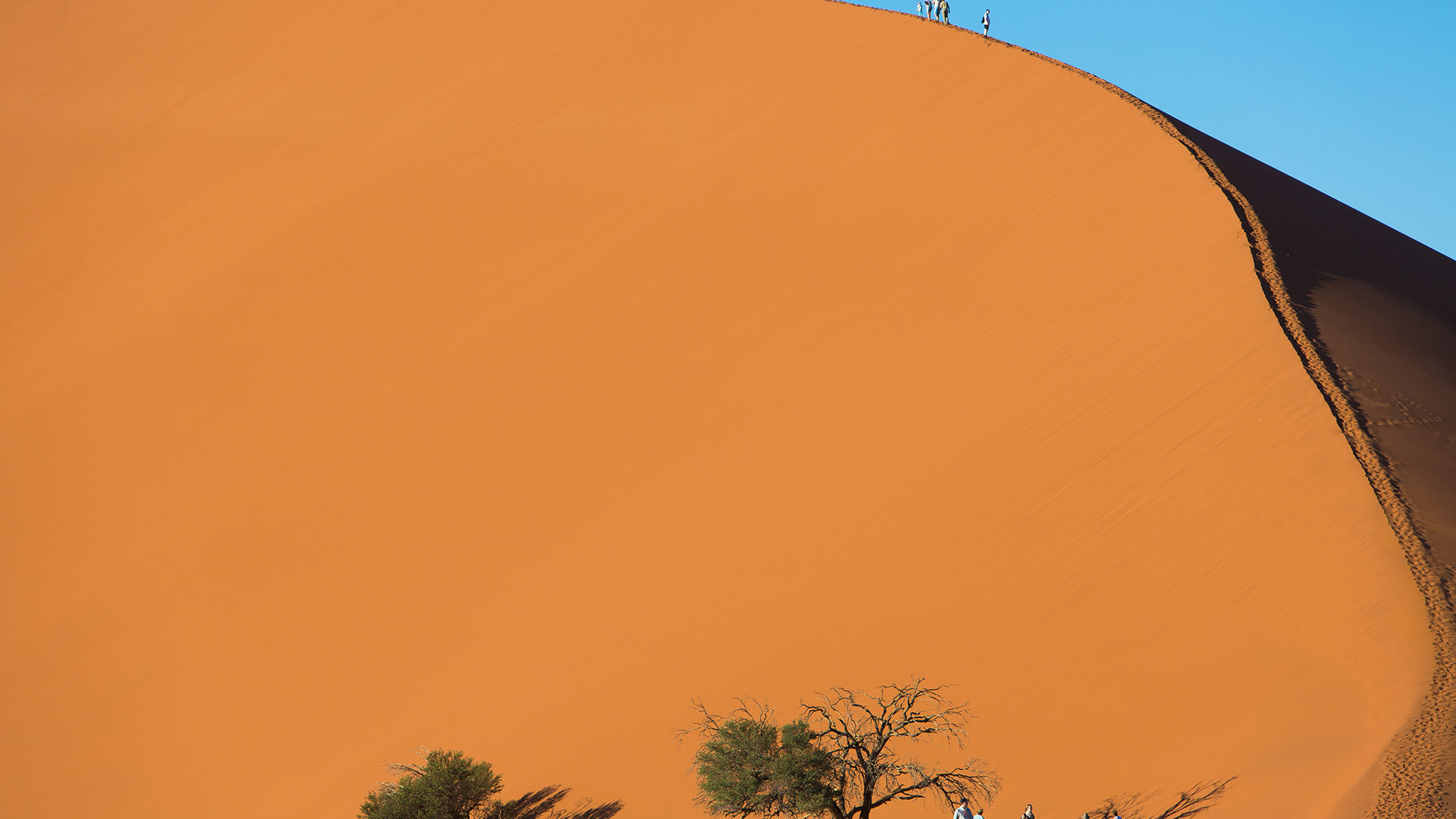 Big Daddy Dune