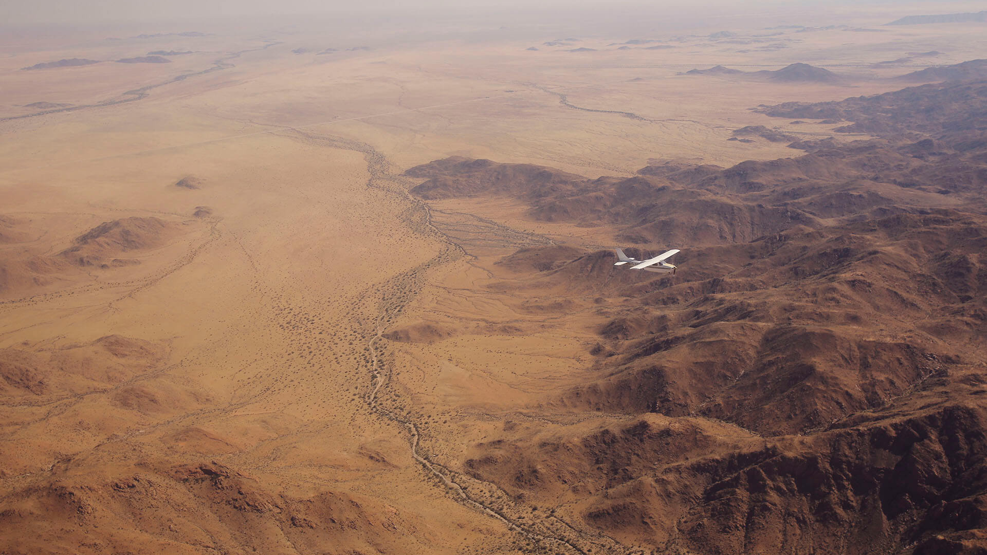 Fly Safari