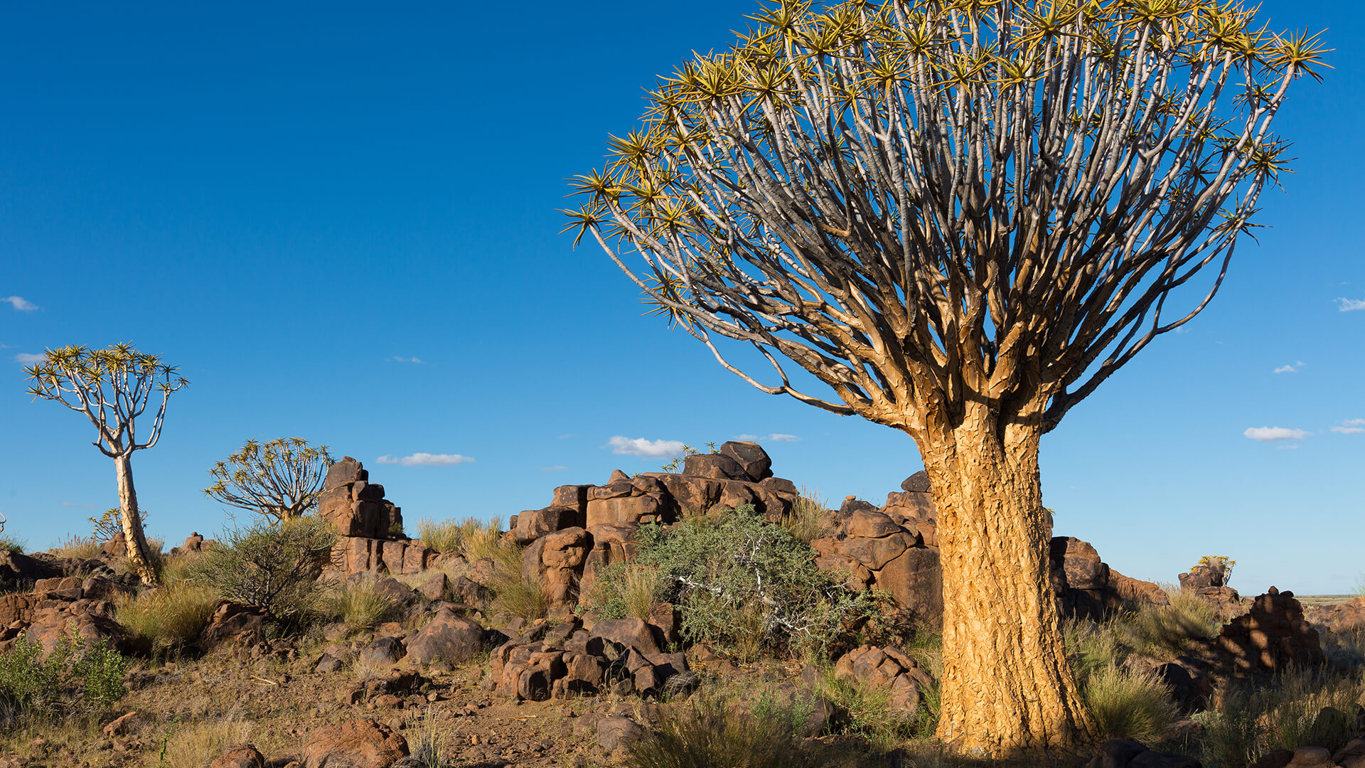 Namibia Landscape