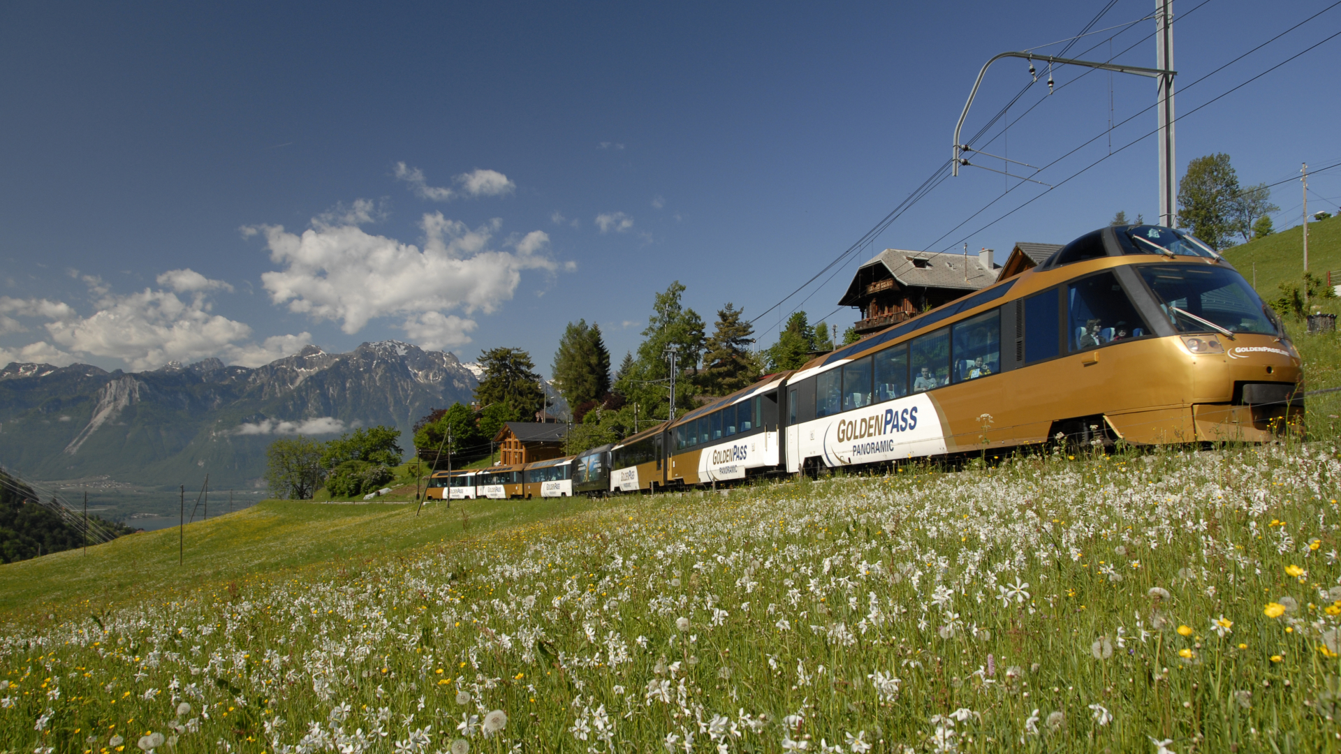 GoldenPass Panoramic 006