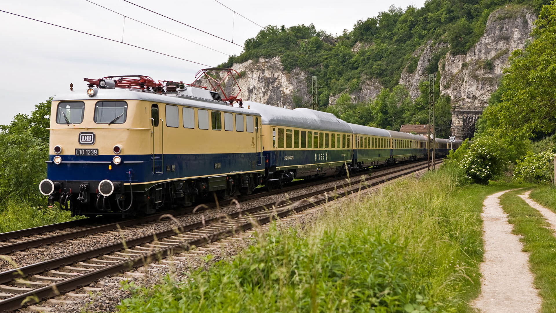 RHEINGOLD Züge