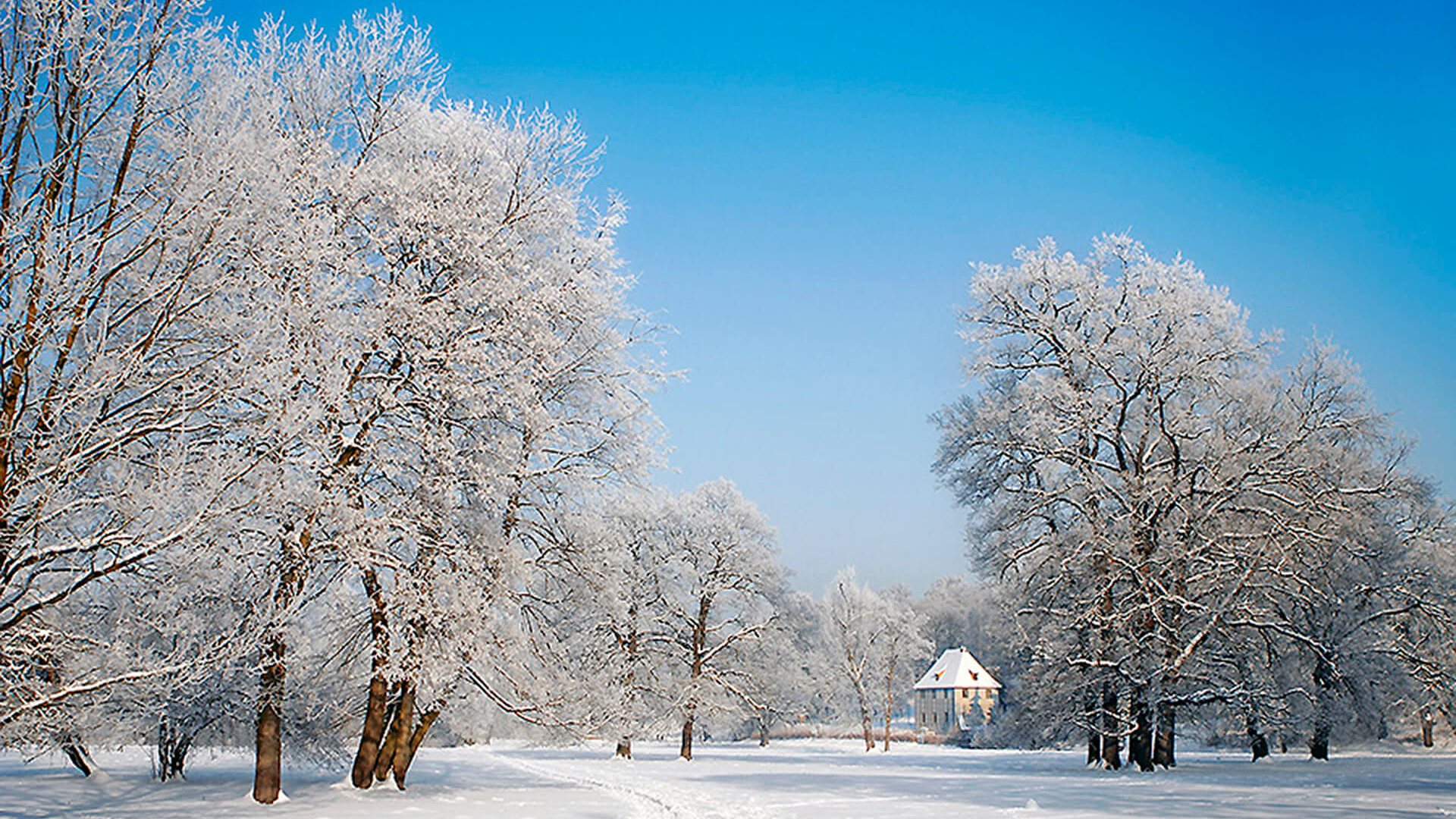 Park an der Ilm (Weimar)