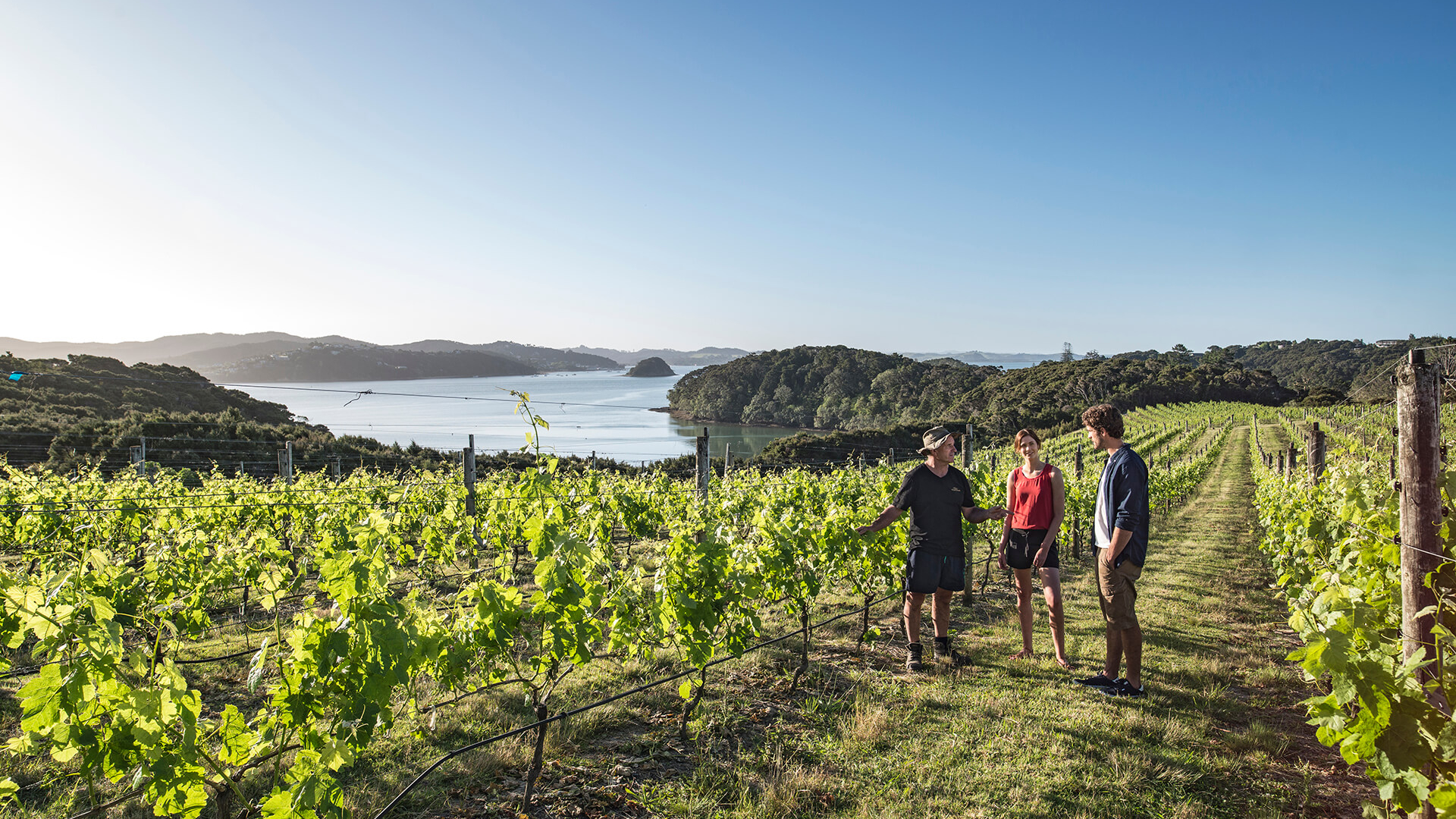 231827-bay-of-islands-northland