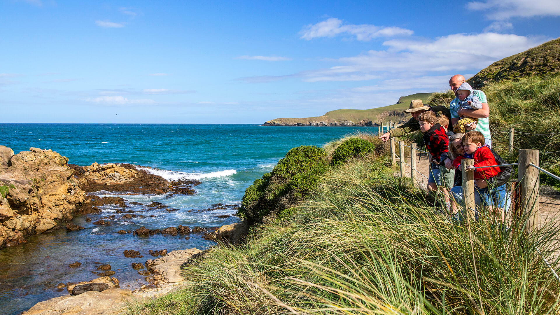234144-dunedin-otago
