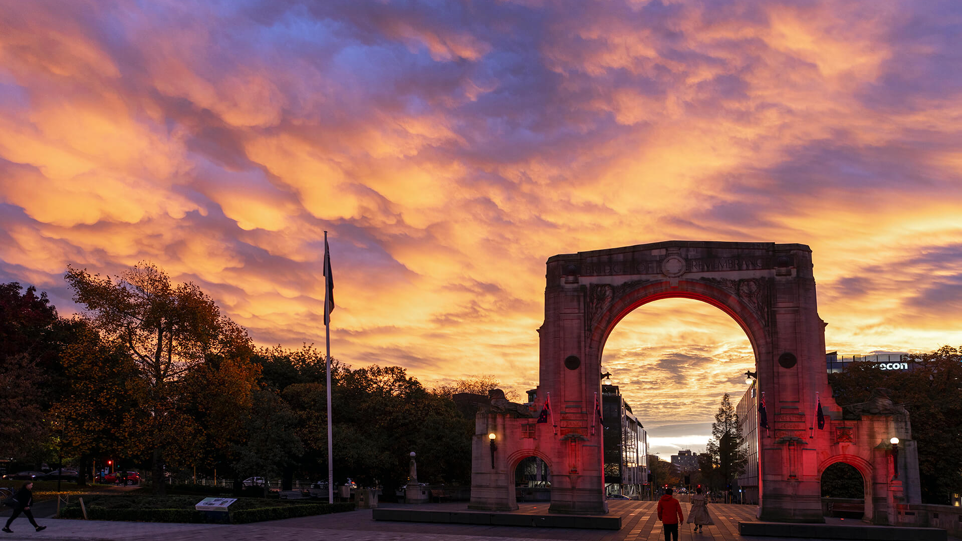 235549-christchurch-city-christchurch