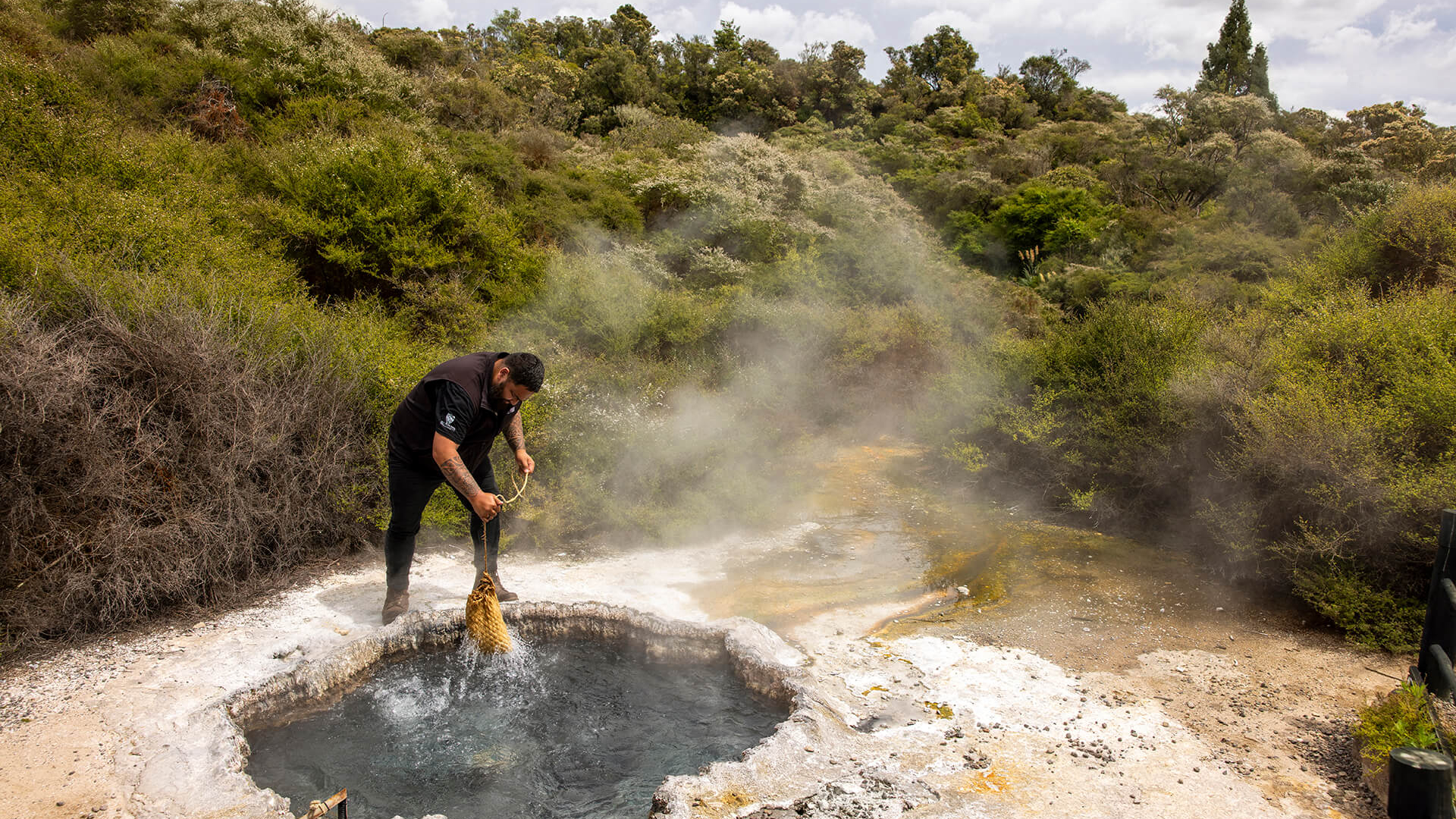 516774-rotorua-bay-of-plenty