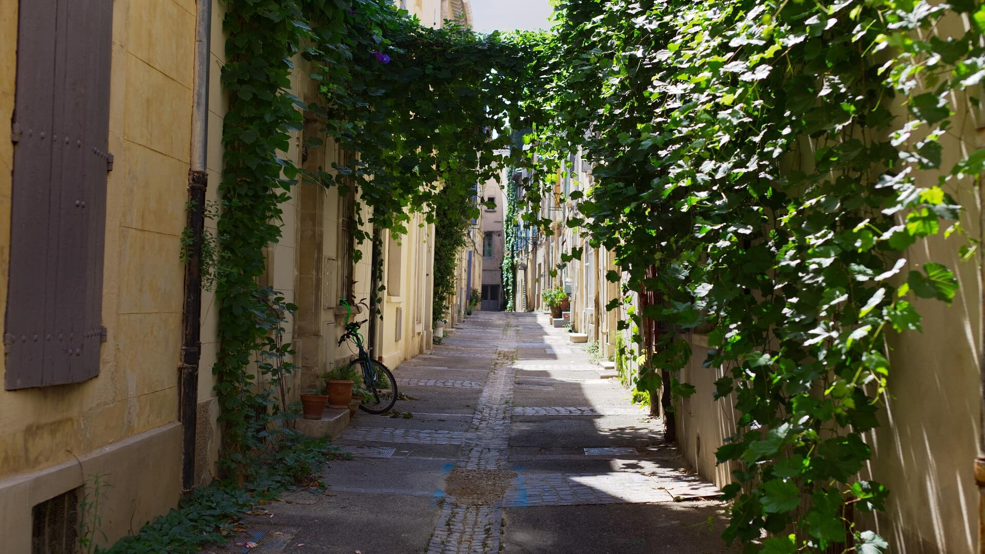 Arles 1