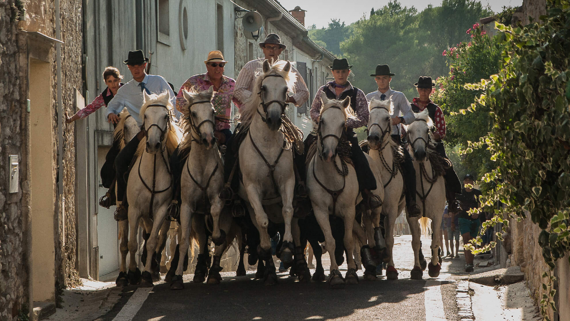 Camargue 2