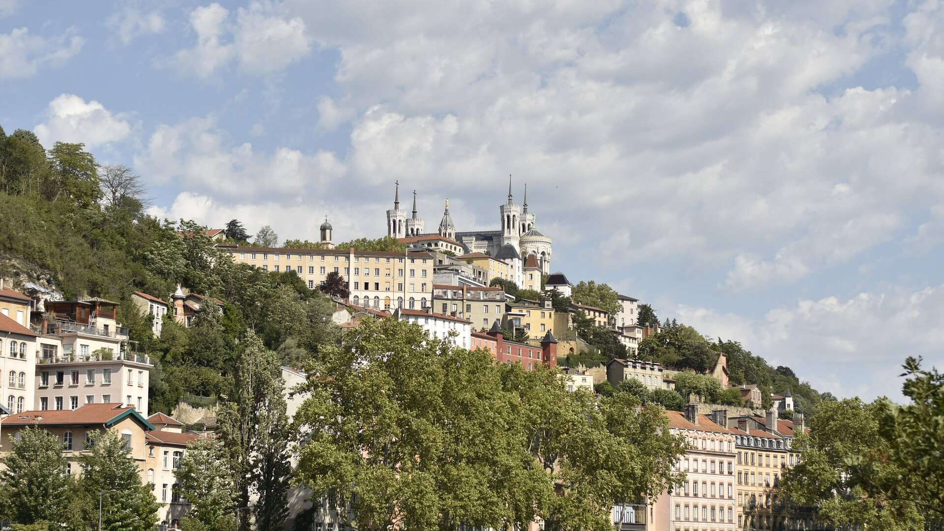 Lyon 1