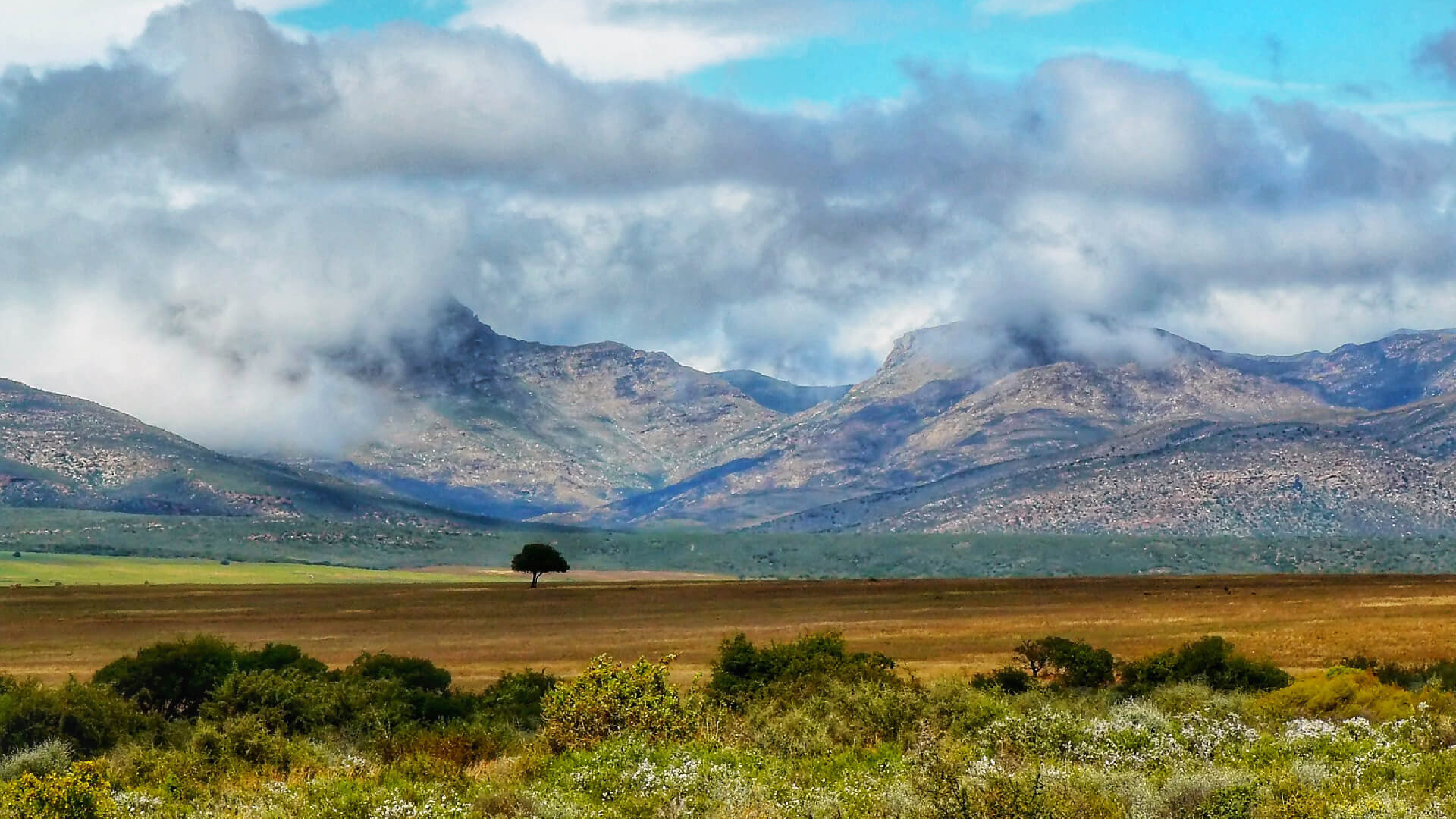 ROVOS-Schnupperreise von Kapstadt nach Pretoria – wunderschöne Natur im südlichen Afrika